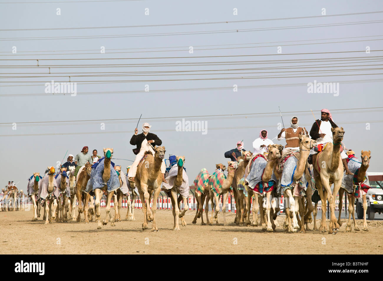 United Arab Emirates, Dubai, Al Marqadh. Dubai Camel Racing Track ...