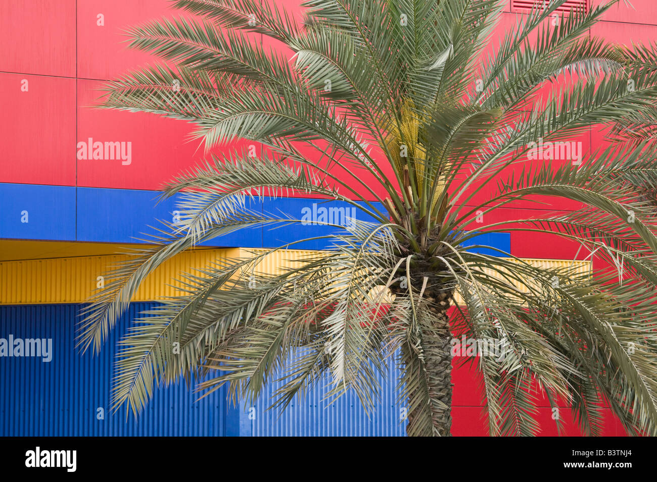 United Arab Emirates, Dubai, Bur Dubai. Children's City Museum / Creekside Park-Building Detail and Palm Tree Stock Photo