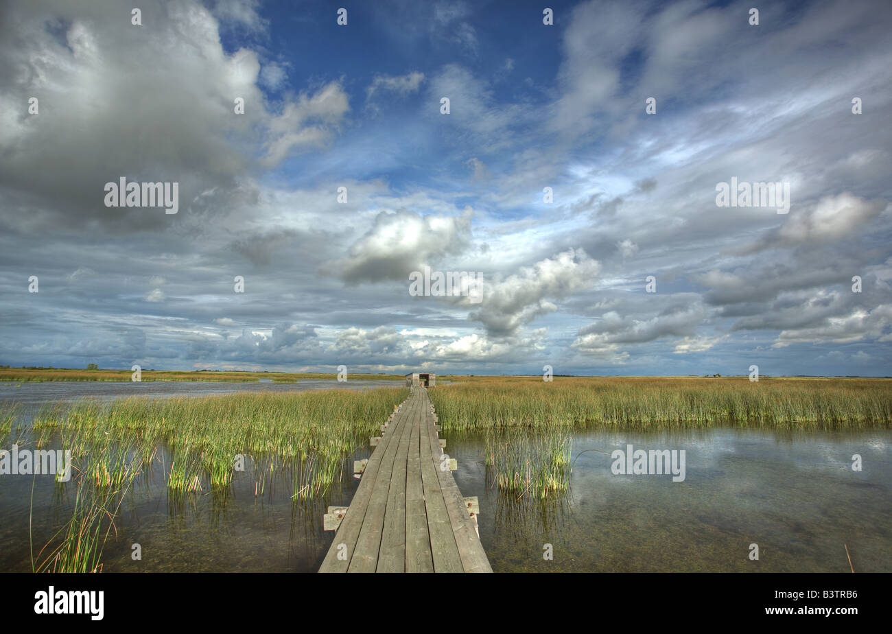 Scenic view of Saskatchewan marshes Stock Photo