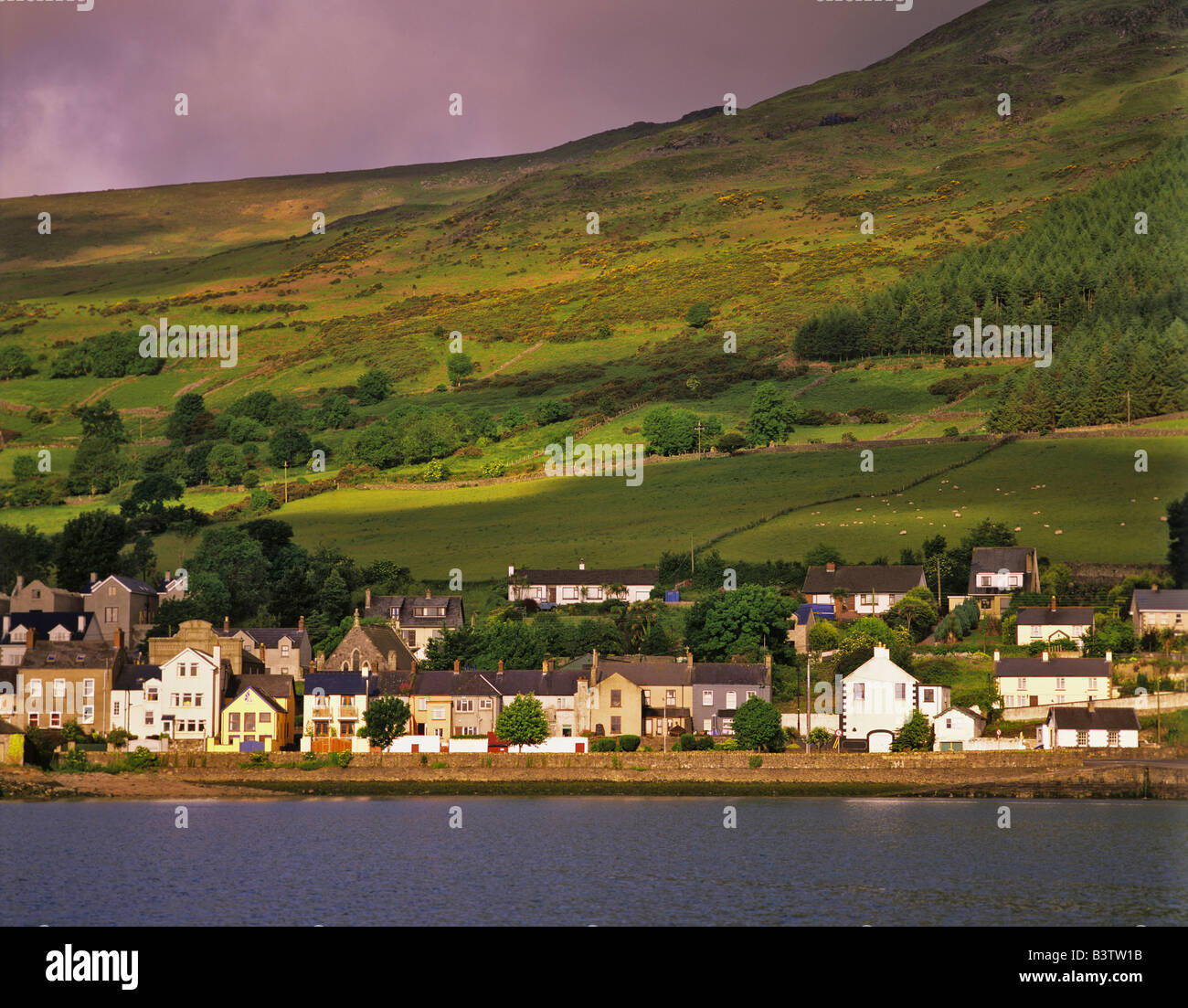 Europe, Ireland, County Louth. The town of Carlingford on the mountainous Cooley Peninsula. Stock Photo