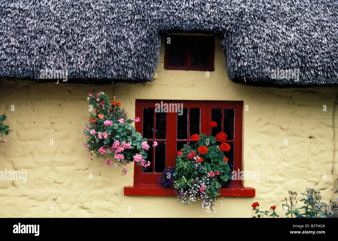 Europe, Ireland, Limerick, Adare. Thatched cottage with a red window. Stock Photo