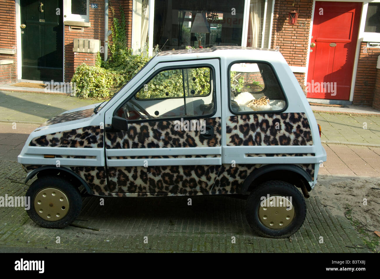 Europe, The Netherlands (aka Holland), Amsterdam. Leopard painted Smart Car. Stock Photo