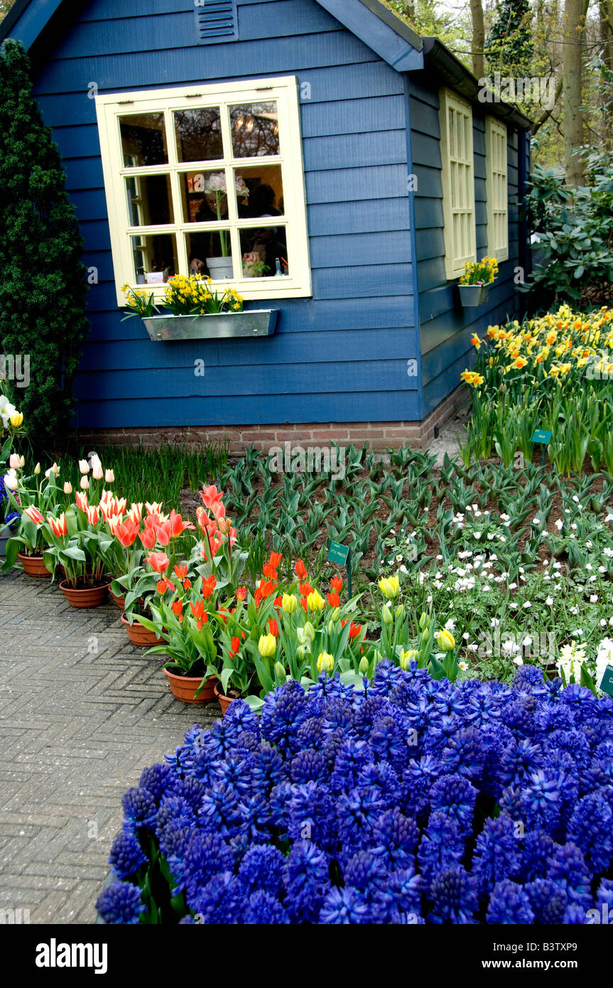 Lisse home hires stock photography and images Alamy