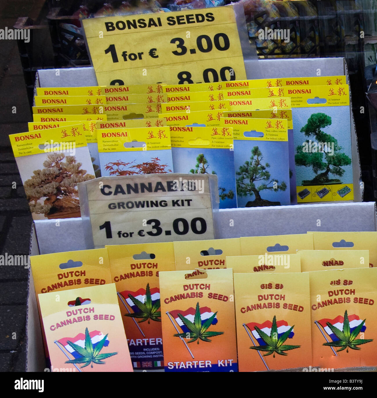 Cannabis(marijuana)and Bonsai growing starter kits at the Bloemenmarkt  Flower Market in Amsterdam Stock Photo - Alamy