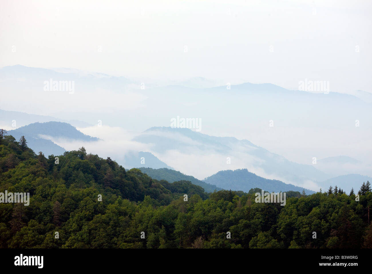 Fog and clouds hover over rolling hills in Great Smoky Mountains National Park, Tennessee, July 8, 2008 Stock Photo