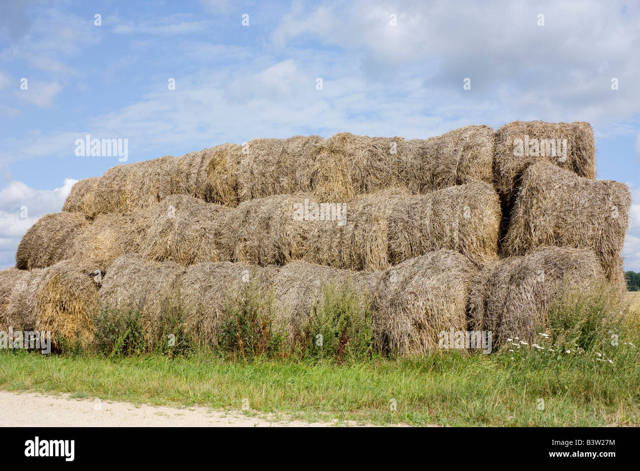 haystack in field Stock Photo