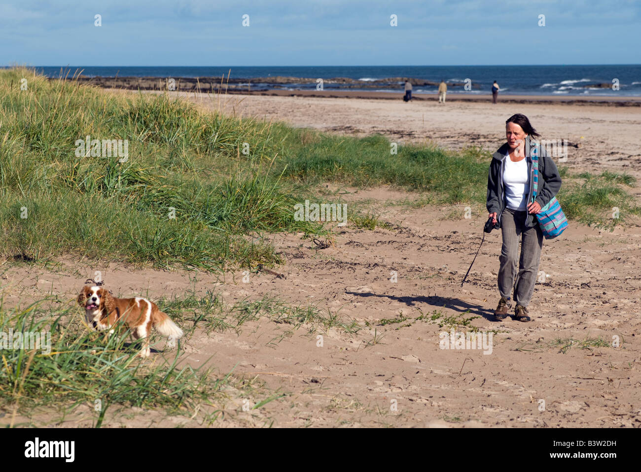 Walking a dog on the beach hi-res stock photography and images - Alamy