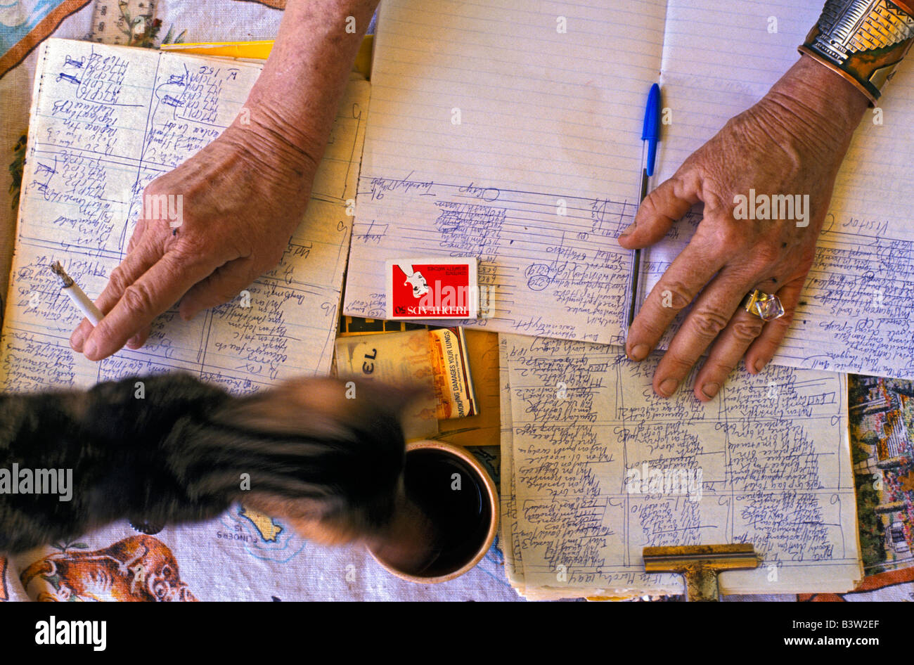 Woman’s hands Stock Photo