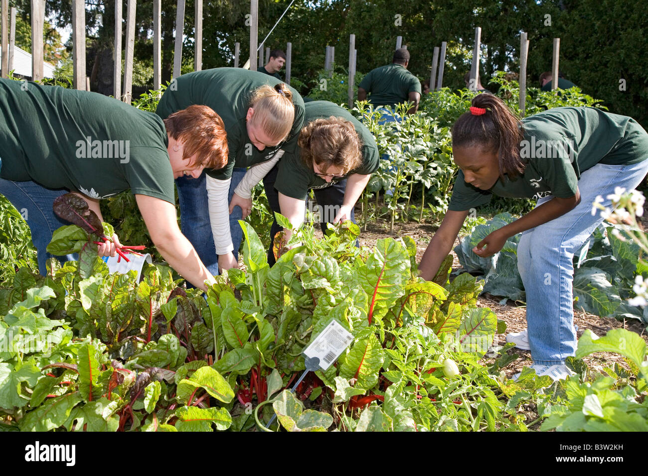 Harvest produce for community food bank hi-res stock photography and ...