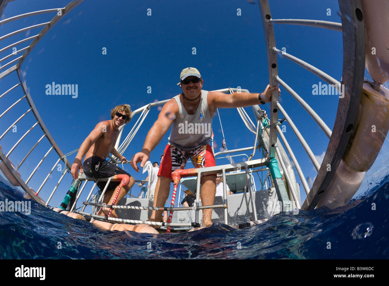 Cage Diving with Sharks Oahu Pacific Ocean Hawaii USA Stock Photo Alamy