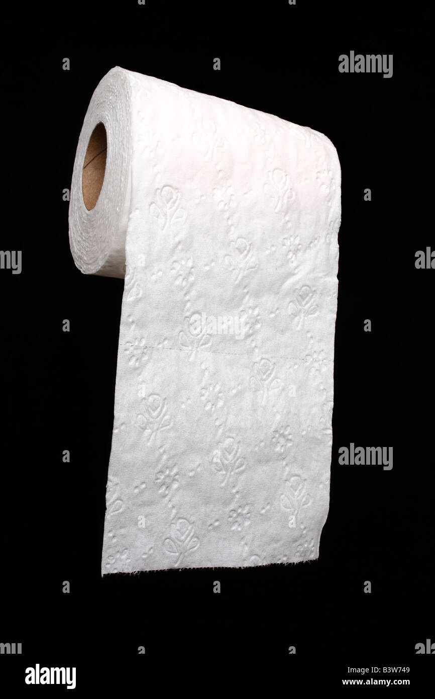 Roll of toilet paper Stock Photo Alamy