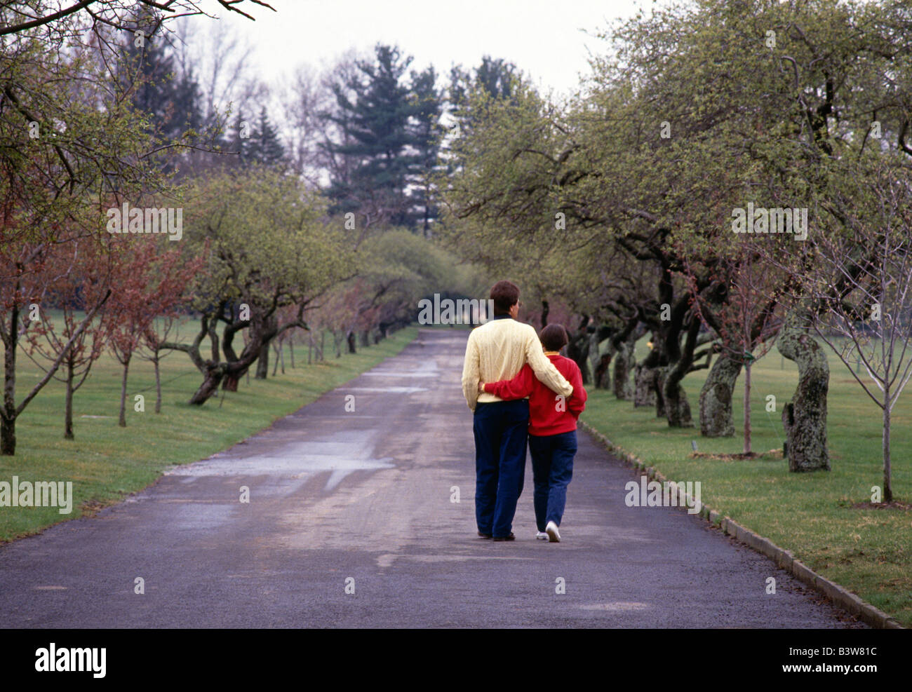Man walking down country lane hi-res stock photography and images - Alamy