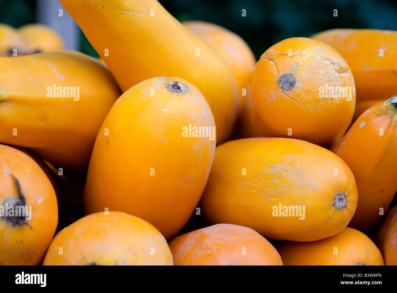 Stack of yellow zuchini squash for sale at a roadside produce market