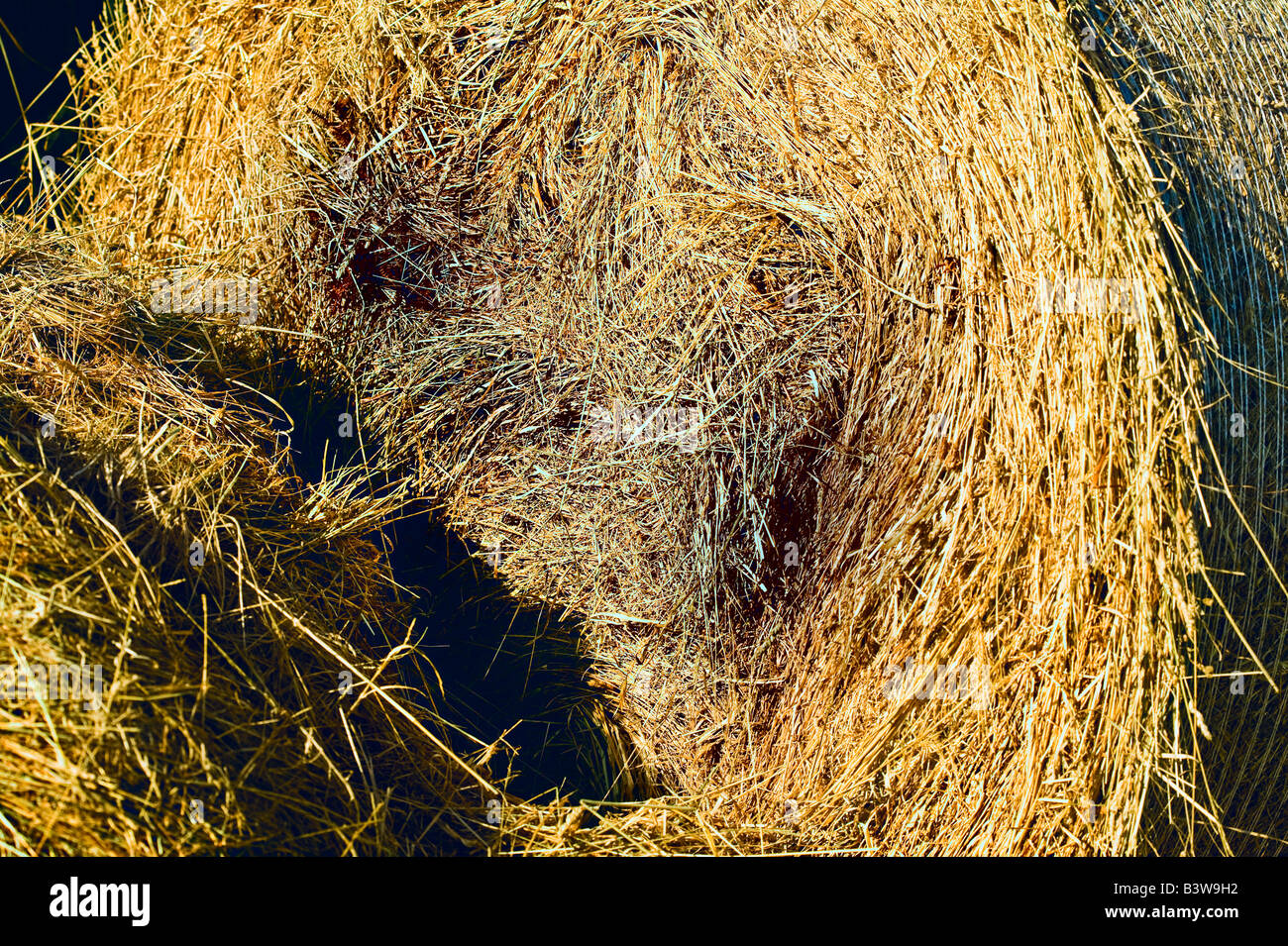 rotting haystack with anthropomorphic grinning face Stock Photo - Alamy
