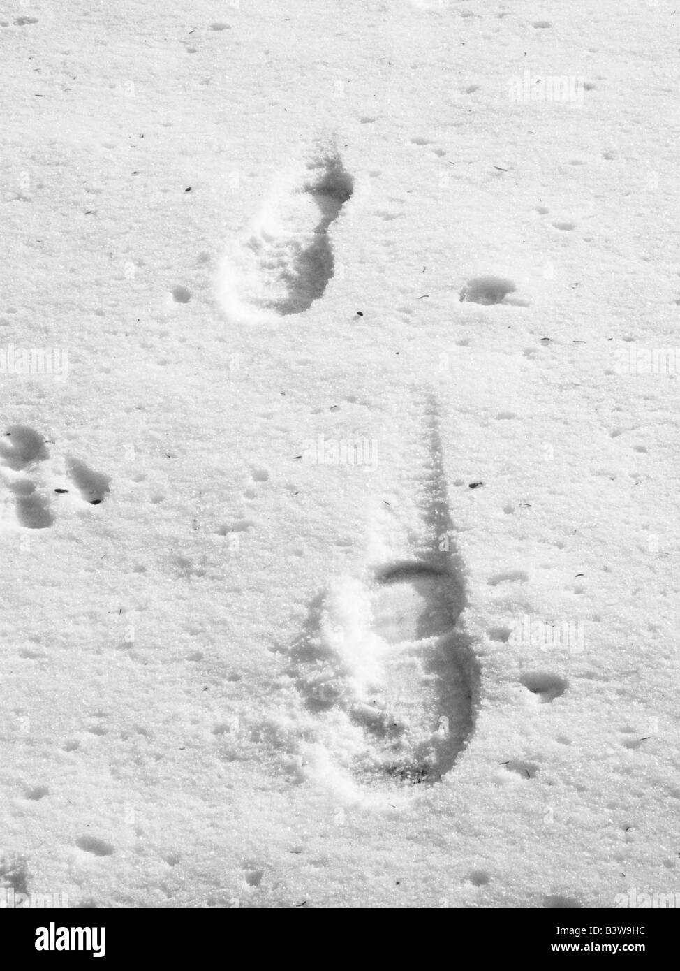 Footsteps on the snow Stock Photo