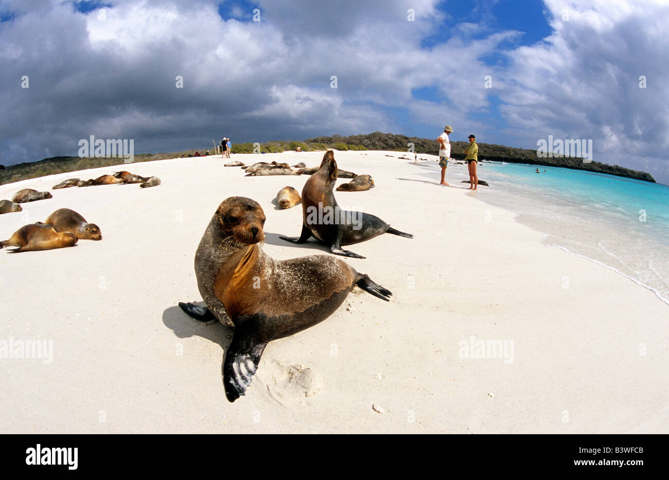 Cruise beach galapagos hi-res stock photography and images - Alamy