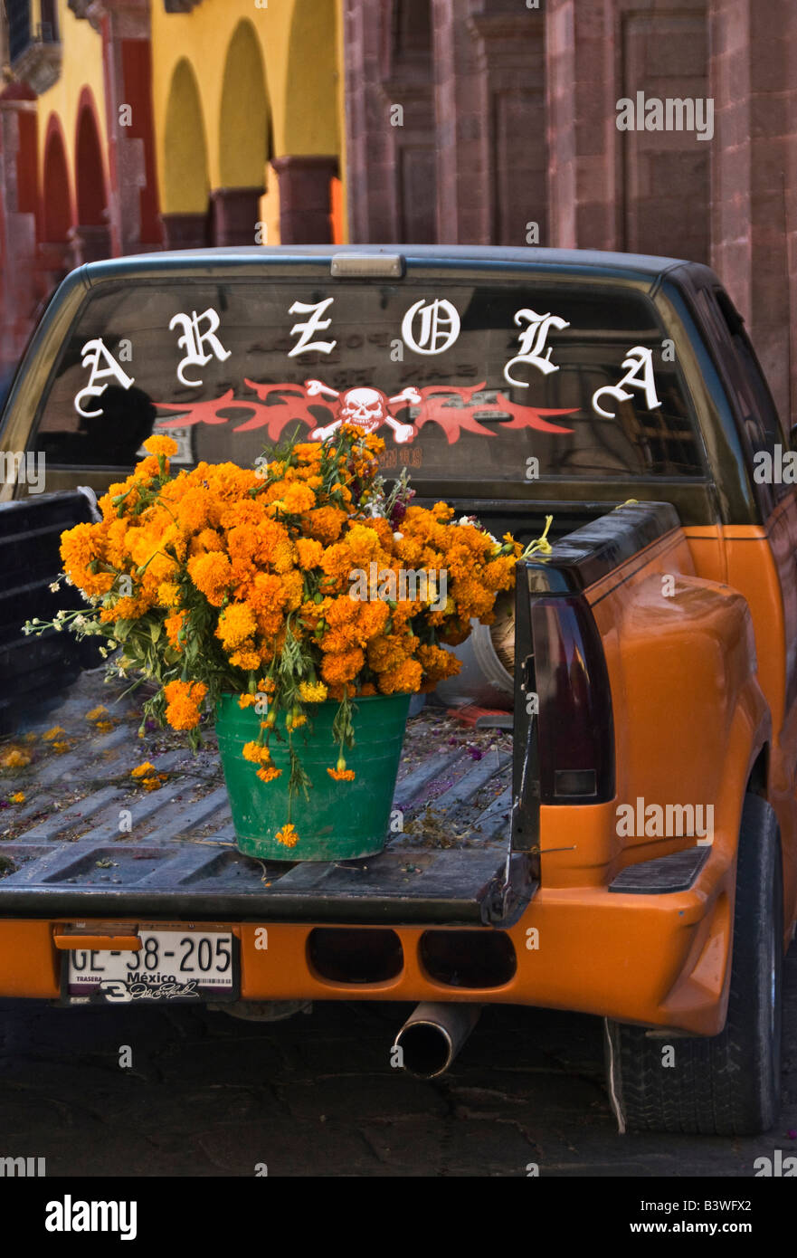 Mexico, San Miguel de Allende. Pickup truck holds common flowers for delivery to Day of The Dead festivities. Stock Photo
