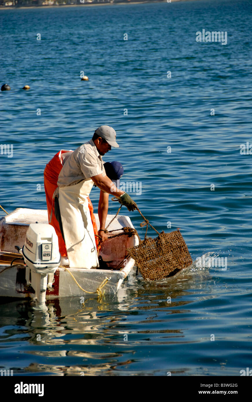 Mexico, Sonora, Guaymas. Pearl farm, checking oyster beds Stock Photo