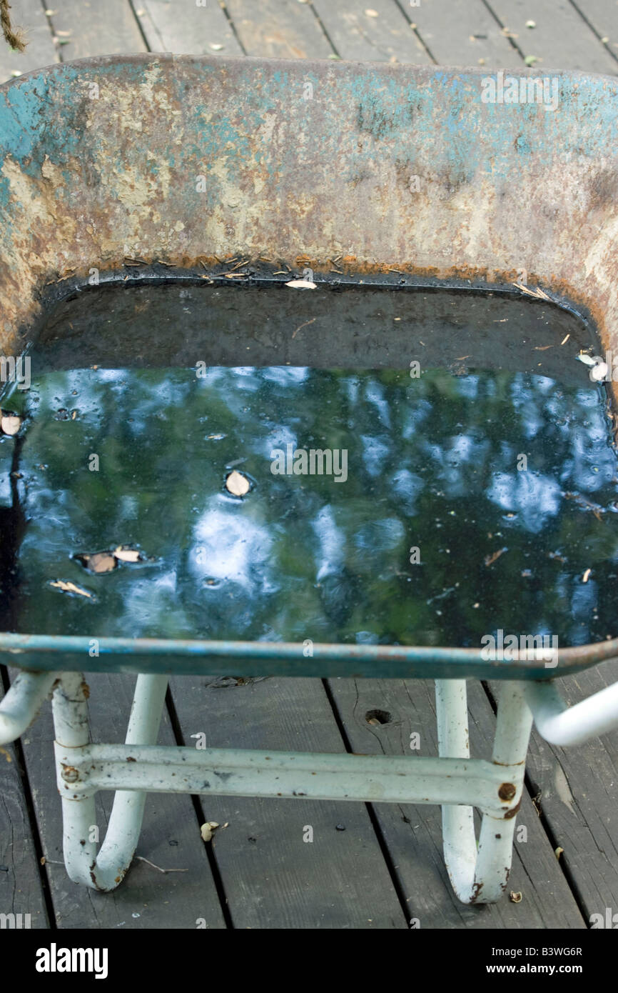 Reflection of sky and trees in rancid water left in wheelbarrow Stock Photo