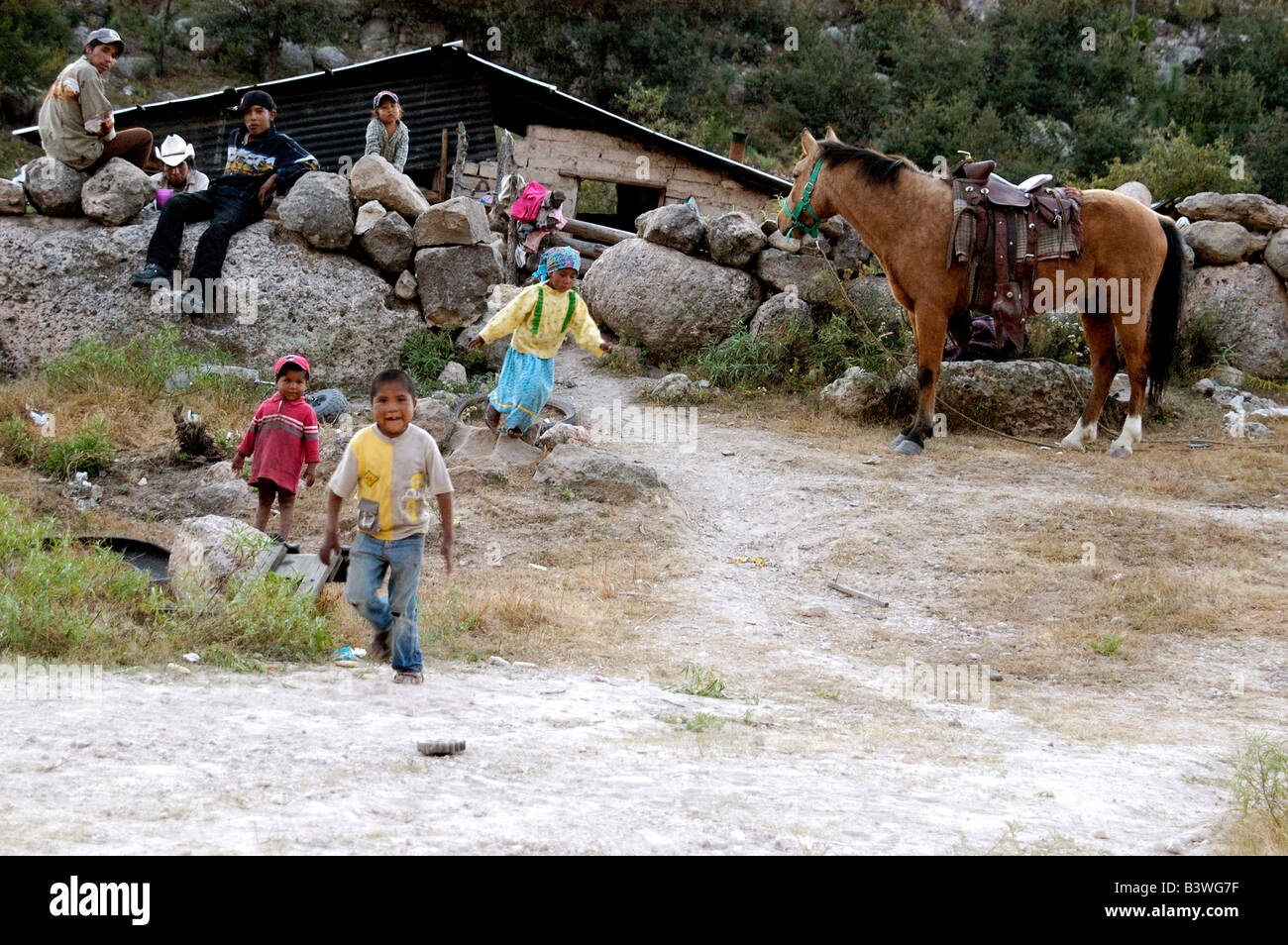 Mexico, Chihuahua, Copper Canyon. Tarahumara home Stock Photo Alamy