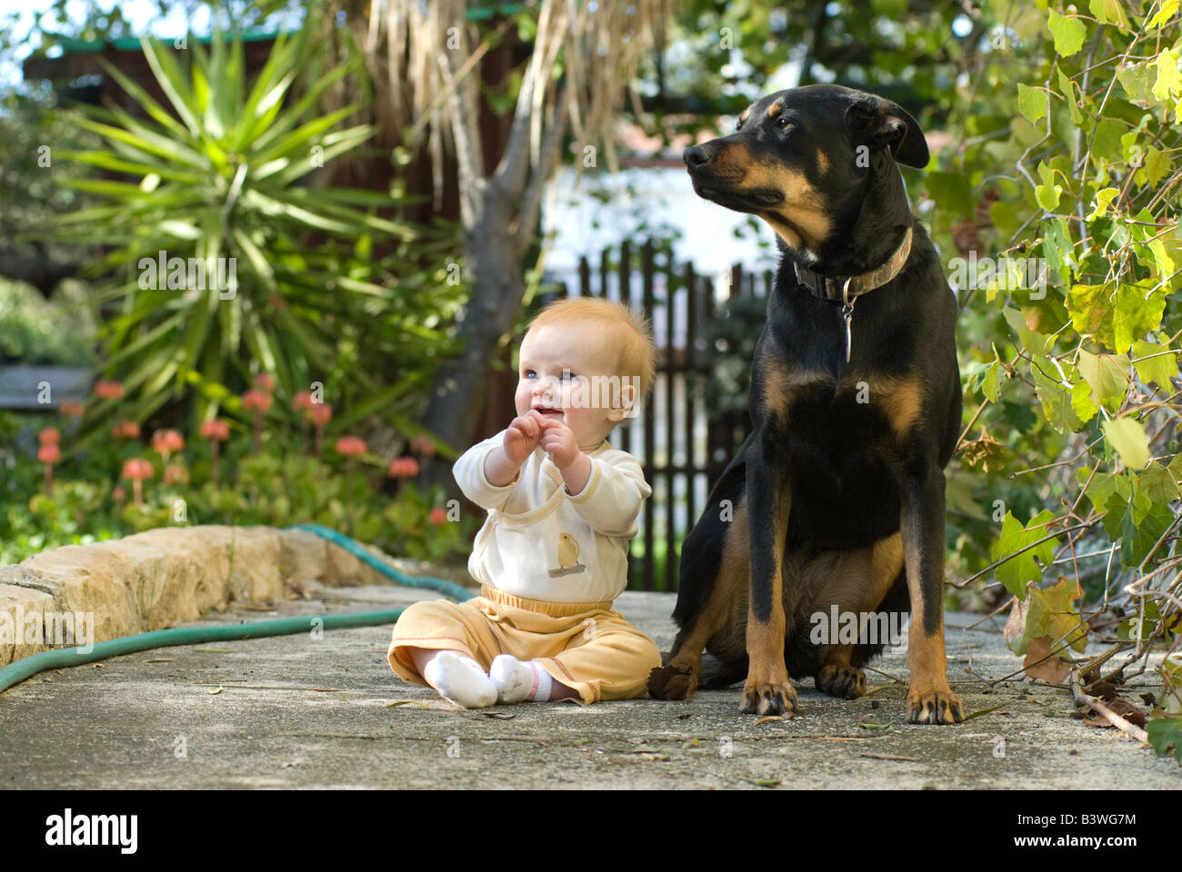 baby sitting with her big dog Stock Photo