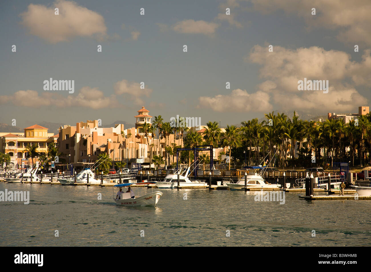 Marina at Cabo San Lucas, Baja California, Mexico Stock Photo - Alamy