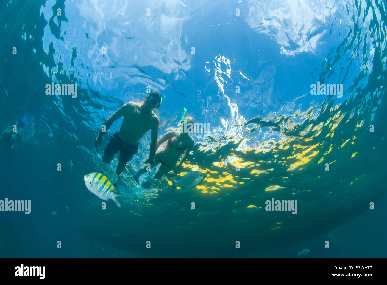 Snorkelers, Cheleno Bay Snorkel Tour, Marine Preserve, aboard Tropicat