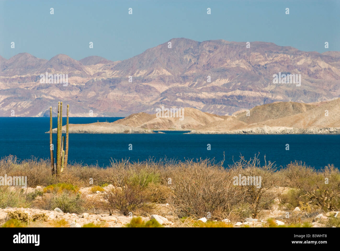 Mexico, Baja California, Bahia de los Angeles Stock Photo - Alamy