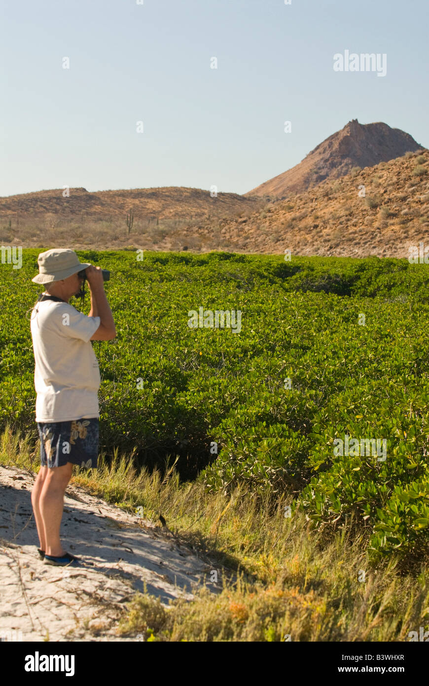 Mexico, Baja California, Midriff Islands, Bahia de los Animas Stock Photo