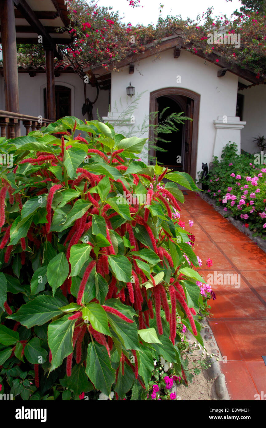 South America, Peru, Lima. Historic estate of Chacra Tres Canas. Ranch