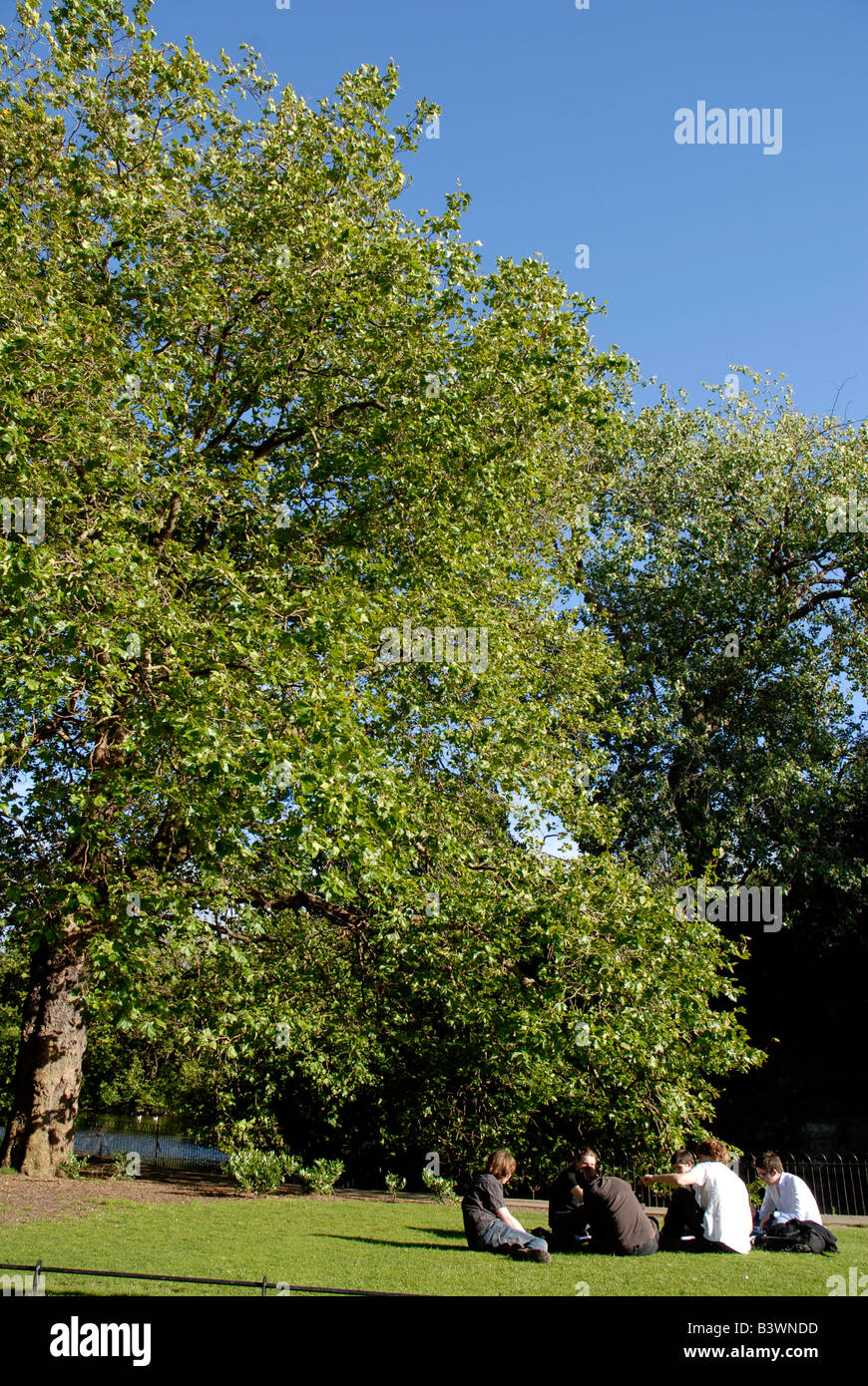 Saint Stephen's Green park, Dublin, Ireland Stock Photo Alamy