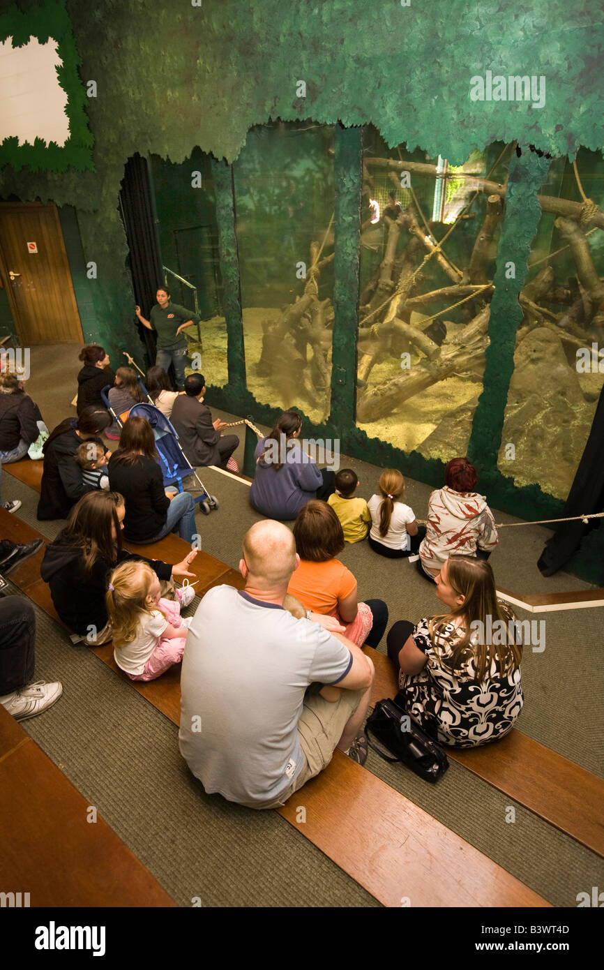 UK Wales Clwyd Colwyn Bay Welsh Mountain Zoo visitors in chimp