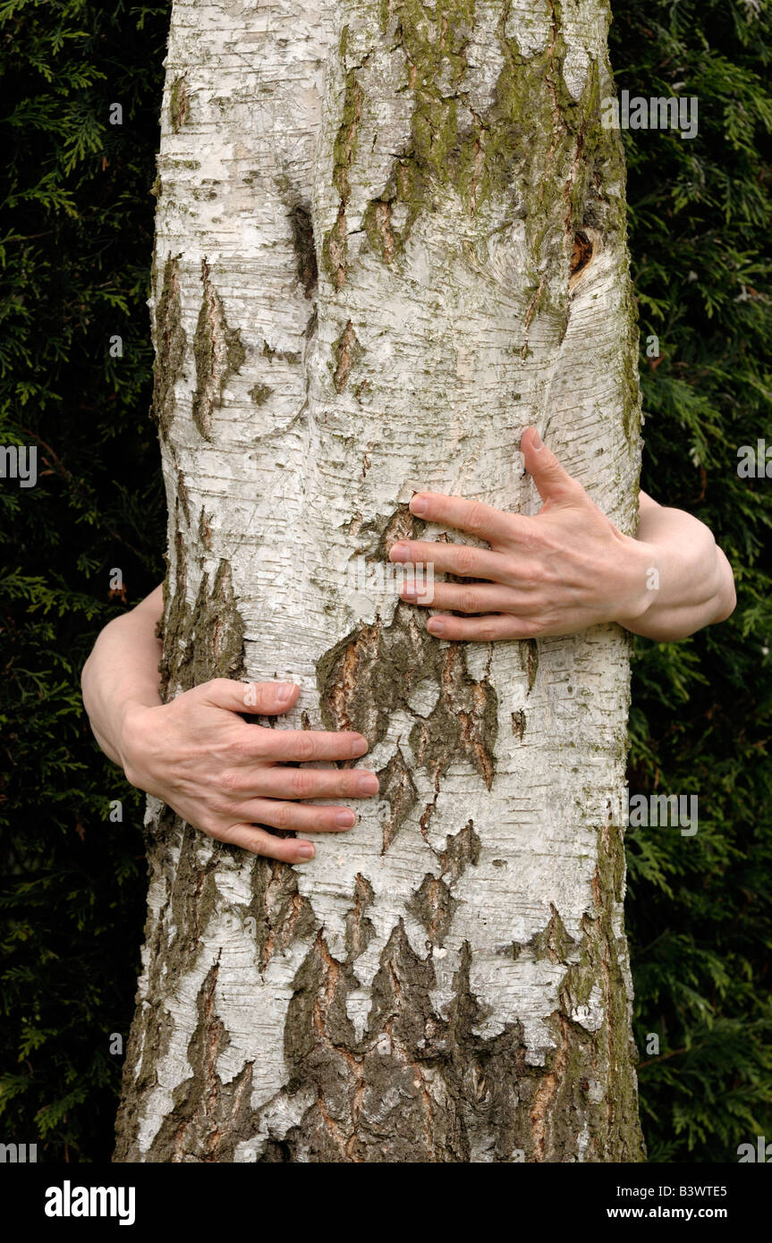 Arms around a tree Stock Photo Alamy