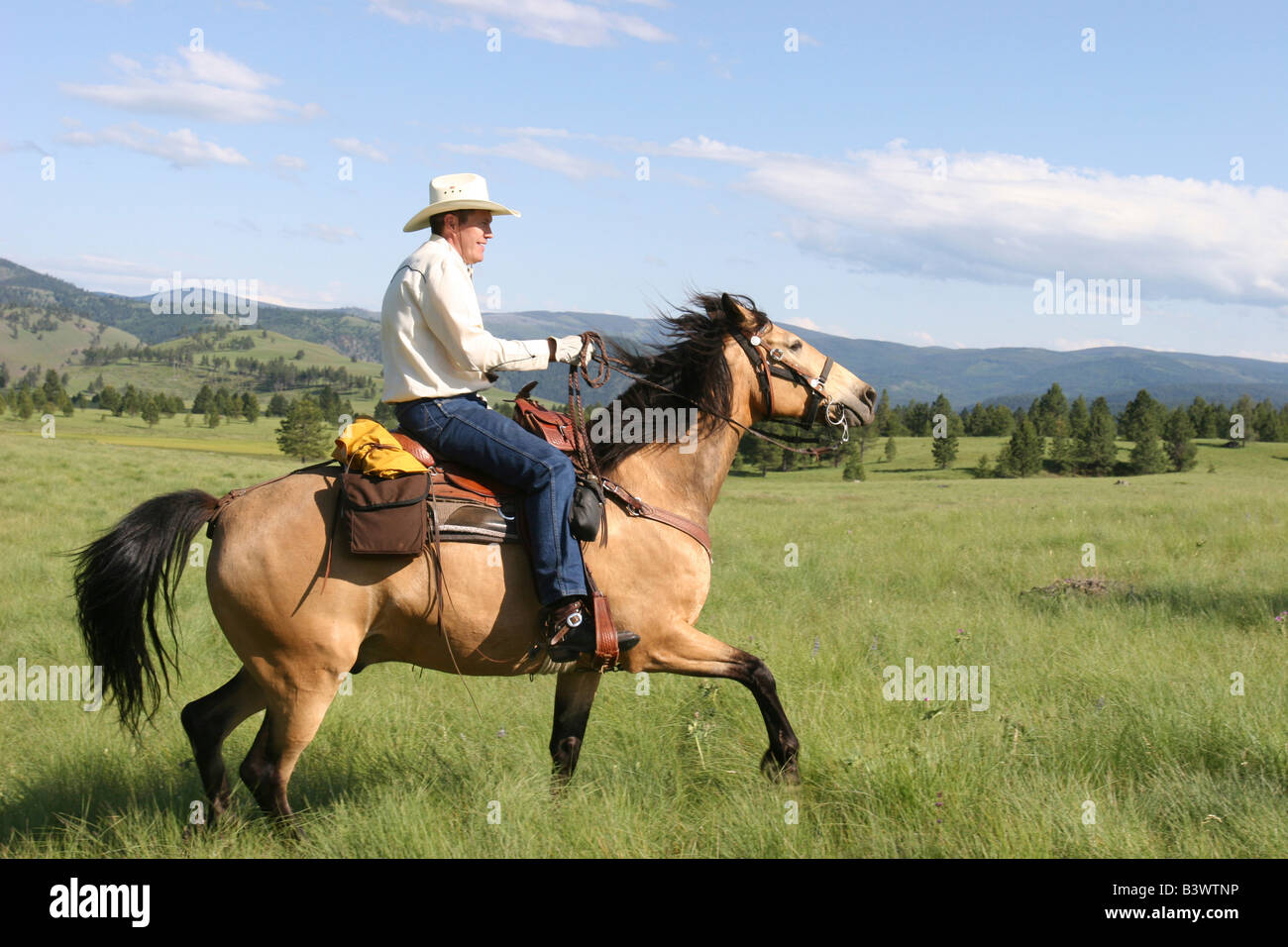 Cowboy riding a horse, Montana, USA Stock Photo - Alamy