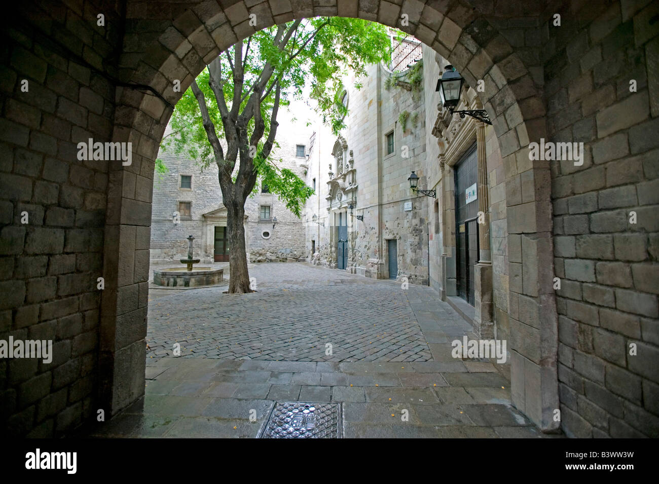 Tree viewed through an arch, Saint Philip Neri Square, Barri Gotic, Barcelona, Spain Stock Photo