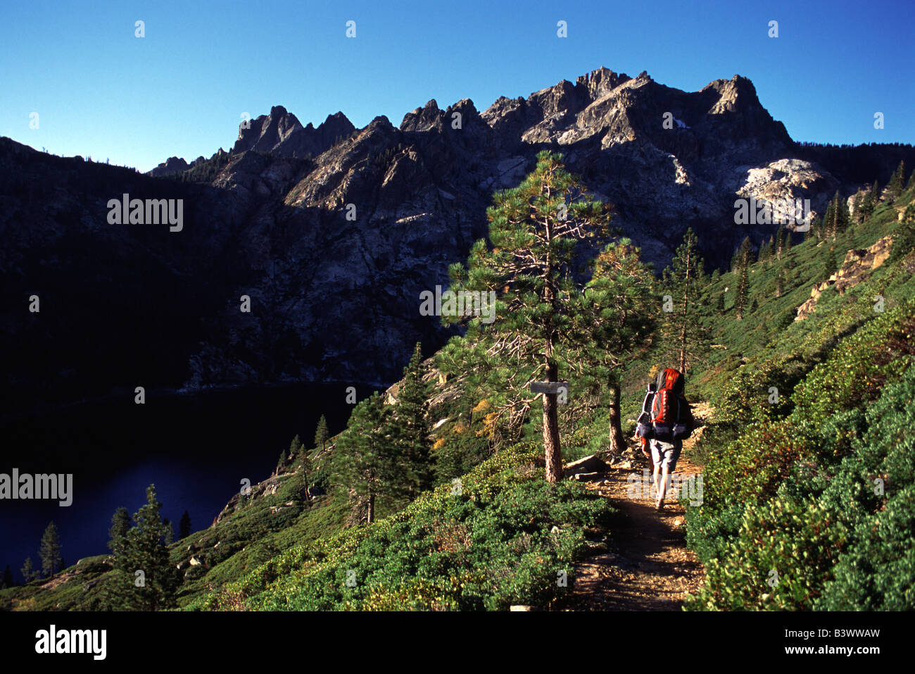 Rear view of a man hiking on mountains, Sierra Buttes, Sierra County, California, USA Stock Photo