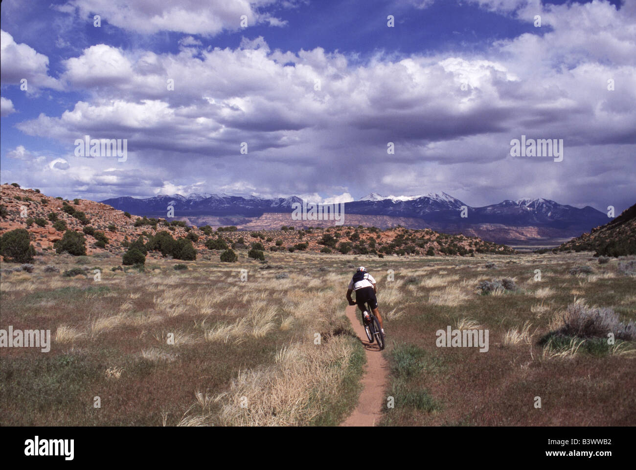 Rear view of a person mountain biking on a dusty trail, Utah, USA Stock Photo