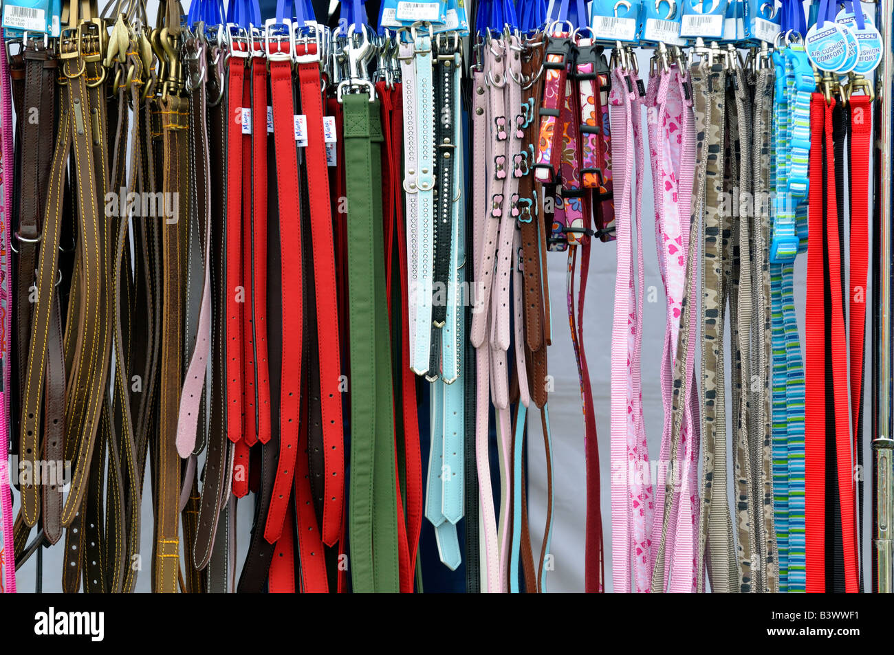 dog collars and leads displayed on a market stall Stock Photo