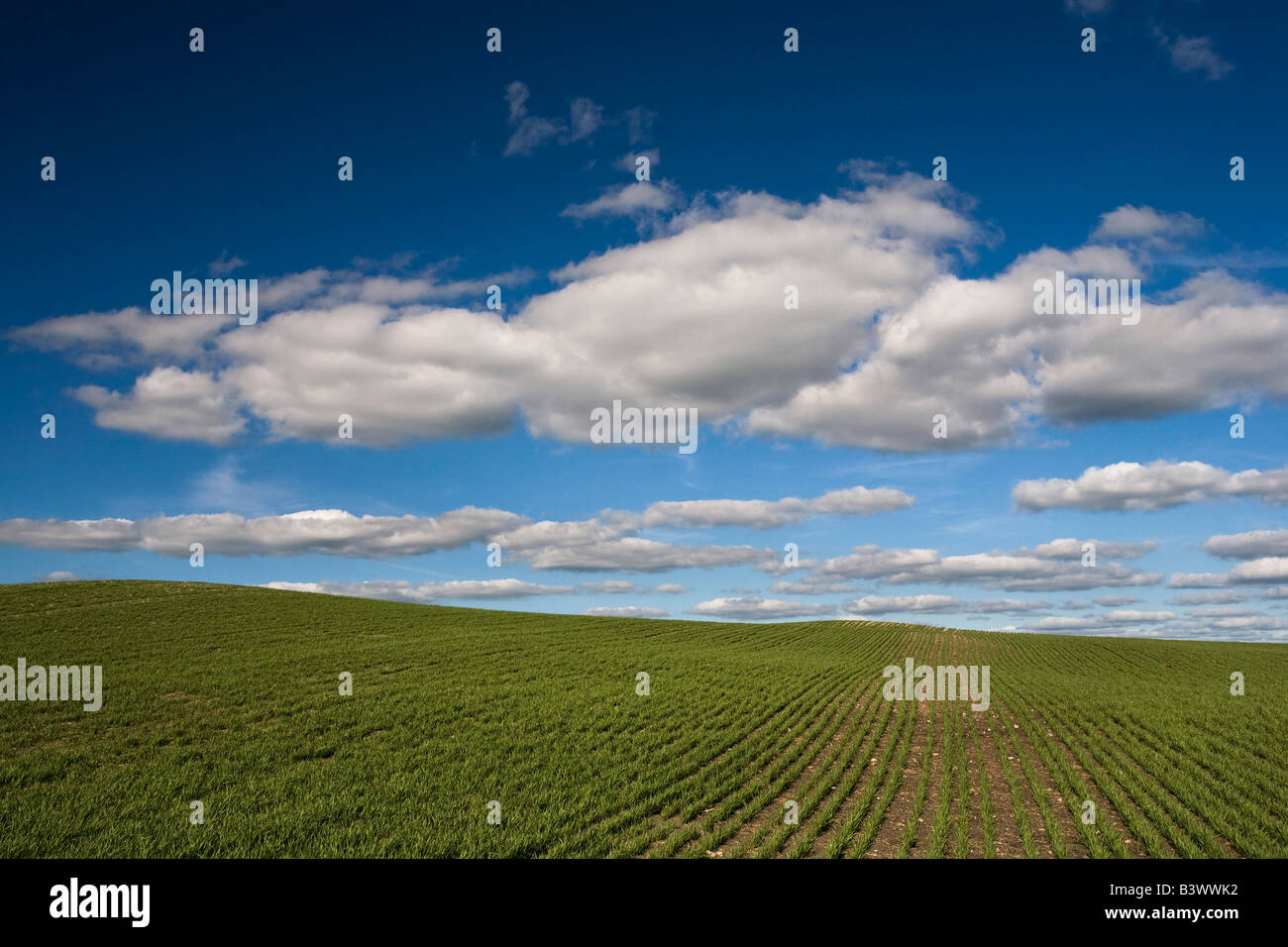 Kelliher hires stock photography and images Alamy