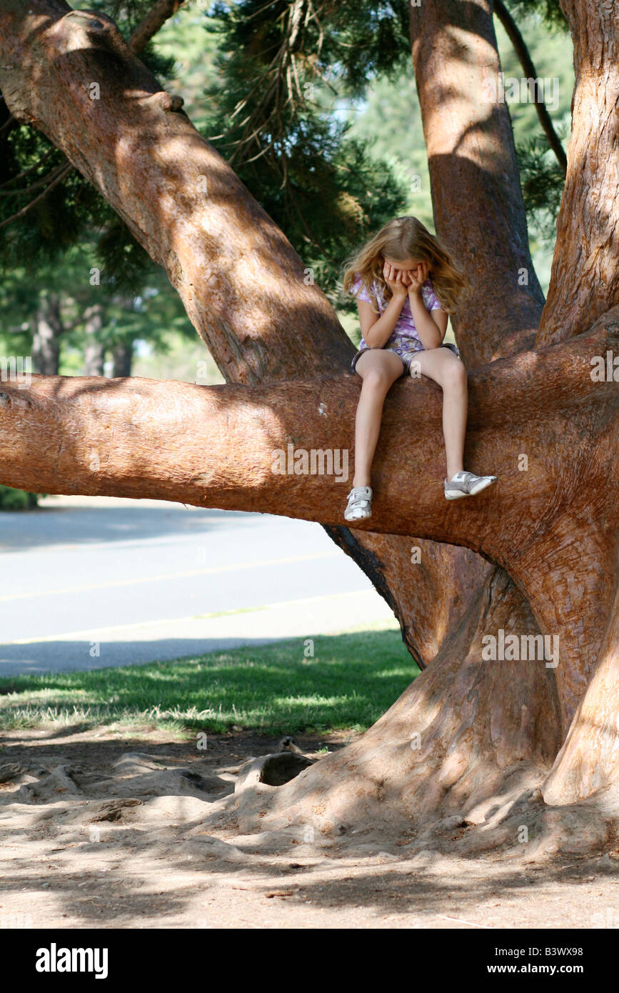 Tree Is Stuck Stuck In A Tree Stock Photo - Alamy