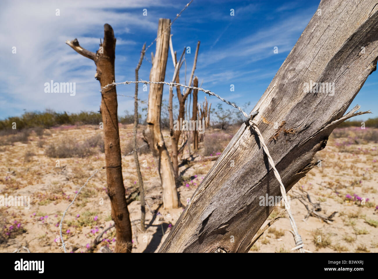 Old makeshift barbwire fence in desert of Baja California, Mexico Stock