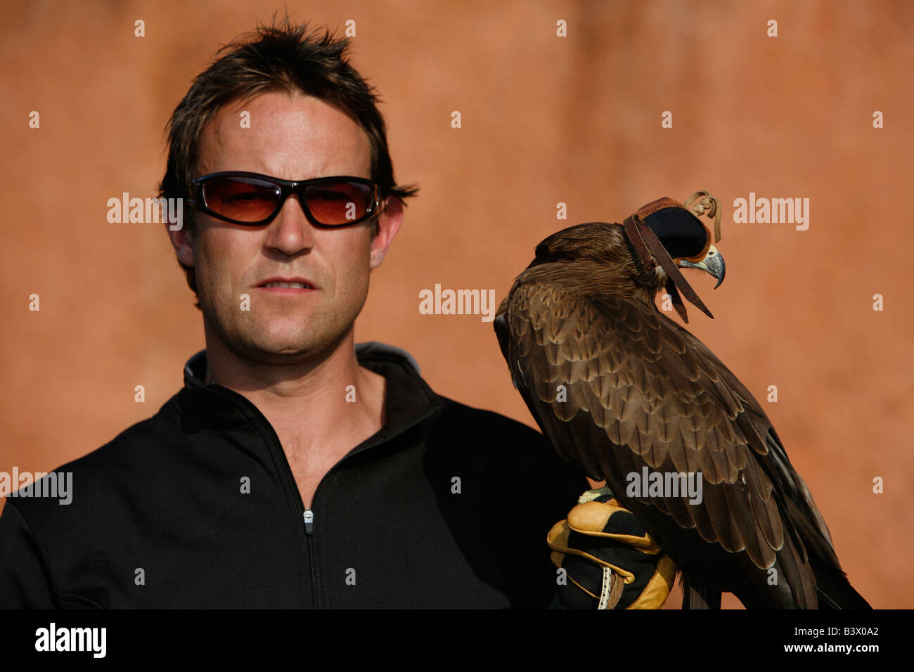 A Black Kite bird (Milvus migrans)  and a falconer Stock Photo