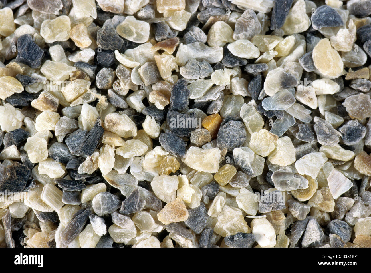 Ground horns and hooves of domestic cattle used as fertilizer studio