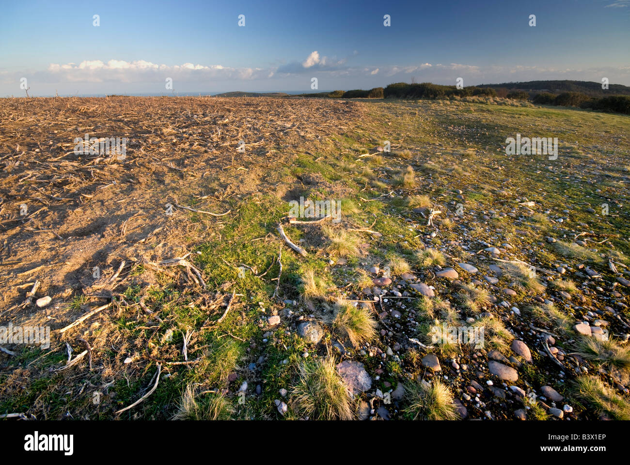Baron landscape hires stock photography and images Alamy