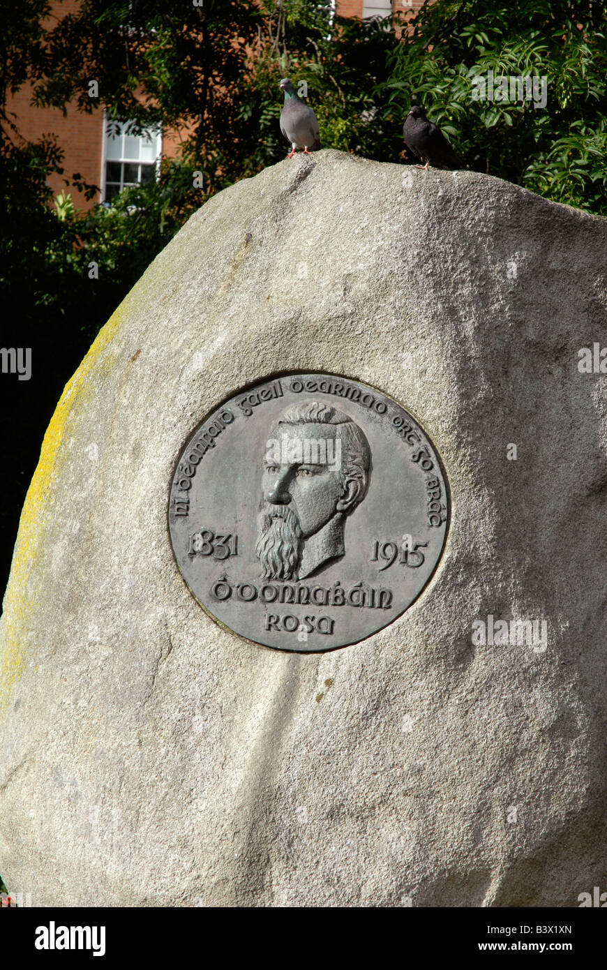 Jeremiah o’donovan rossa hires stock photography and images Alamy