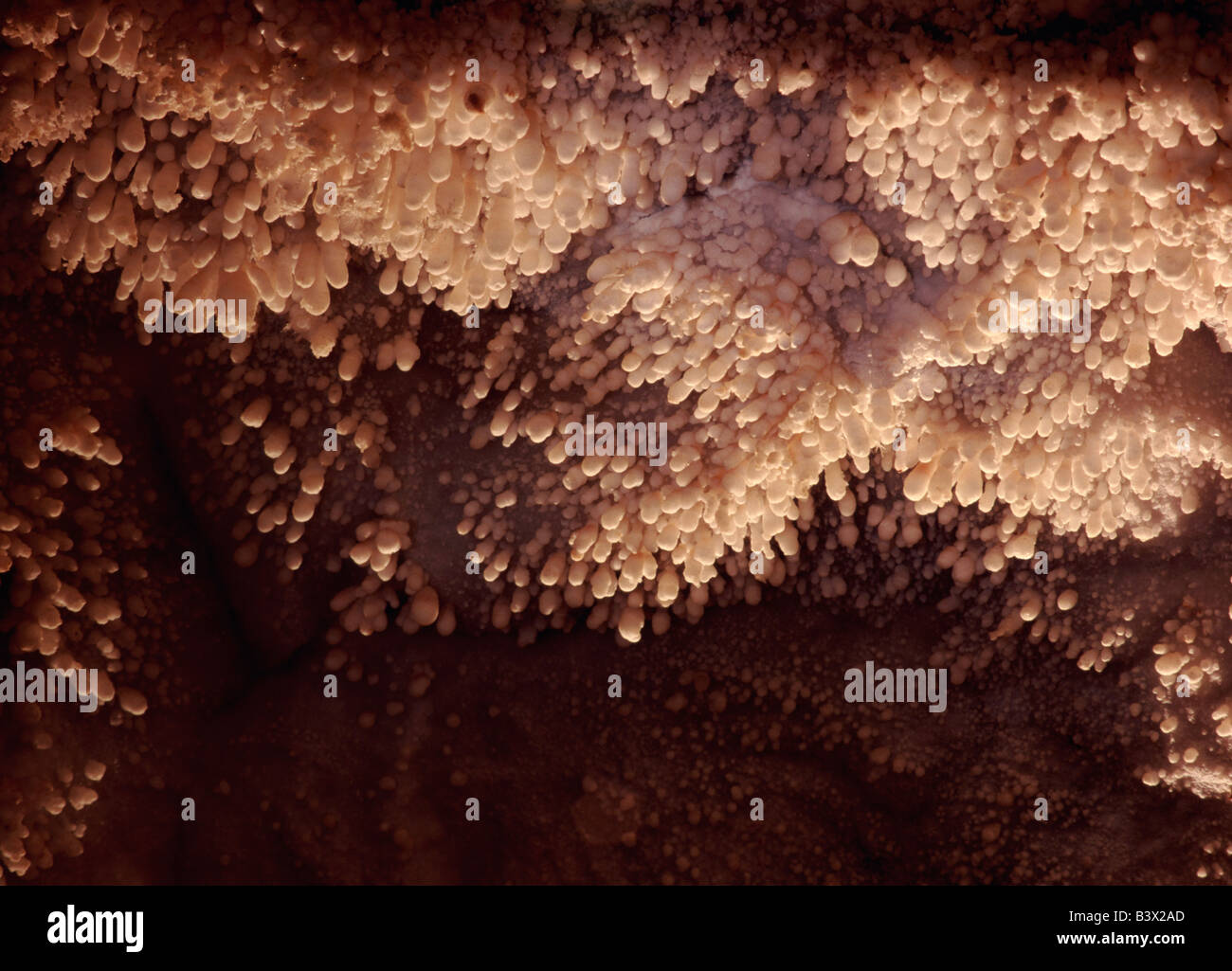 Cave popcorn hires stock photography and images Alamy