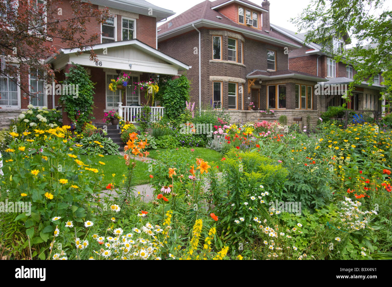 A Wolseley area home front yard and boulevard planted with spring flowers in Winnipeg, Manitoba
