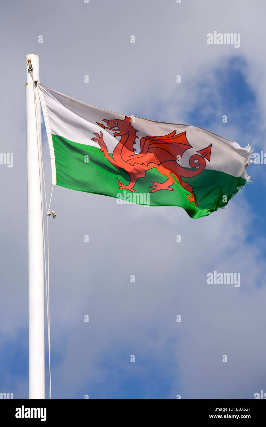 UK Wales Clwyd Colwyn Bay Welsh Mountain Zoo national flag flying Stock Photo