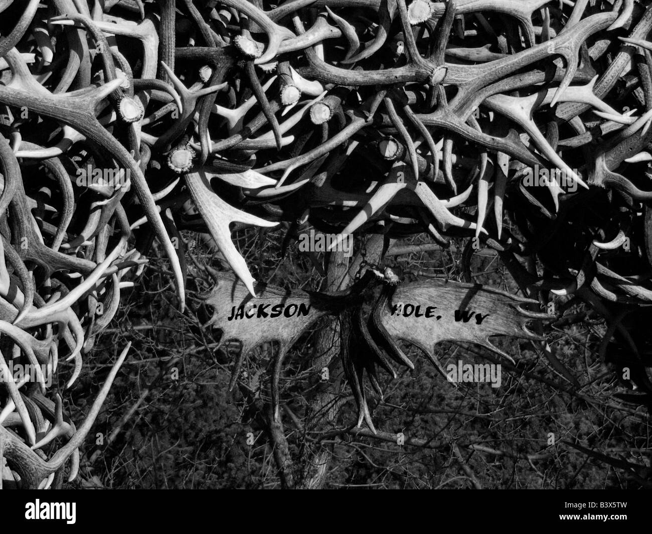Elk Antlers in Jackson Hole, Wyoming, USA Stock Photo Alamy
