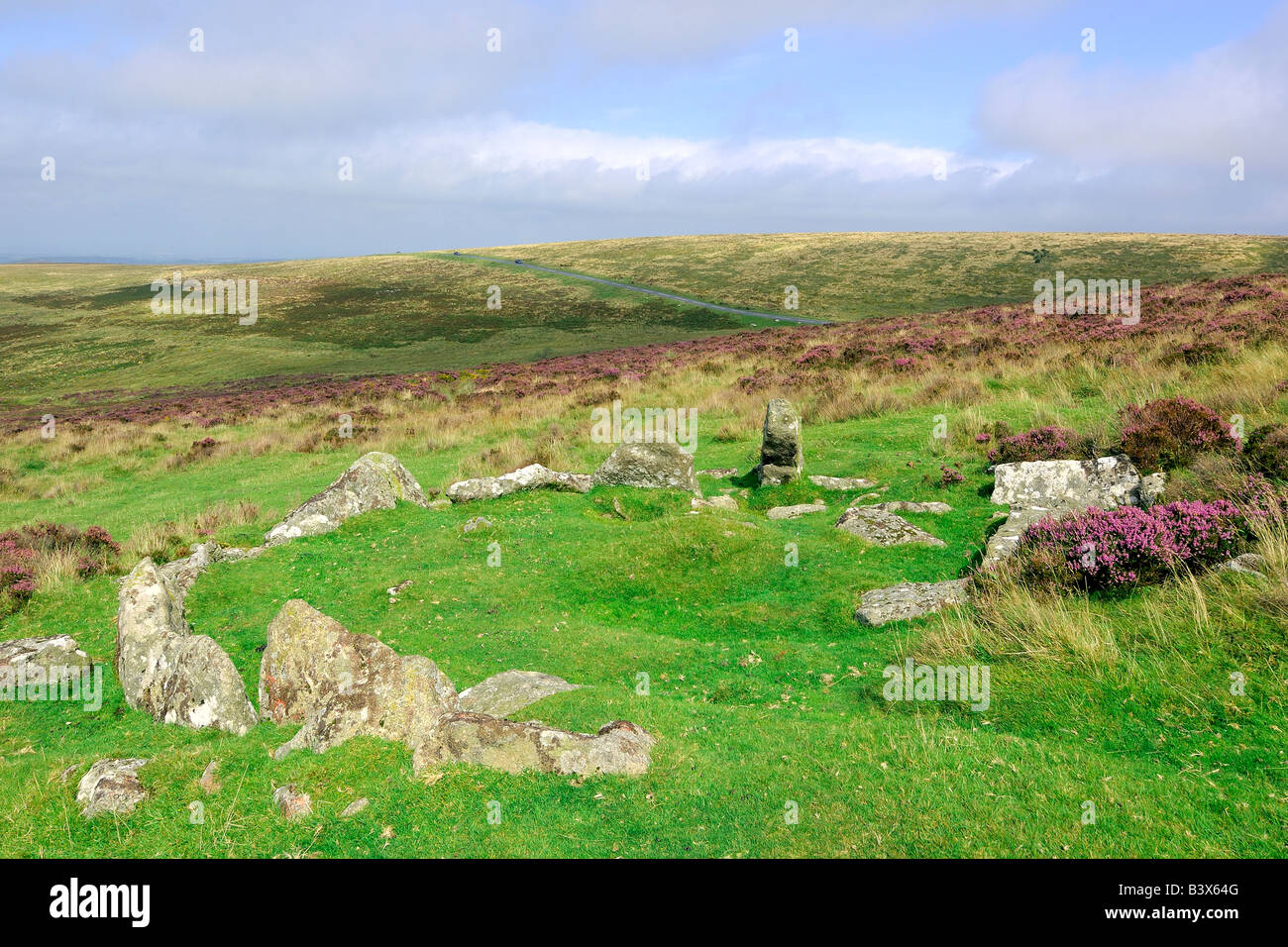 A small stone circle surrounded by wild heather in full bloom at sunrise on Dartmoor National Park in South Devon England Stock Photo